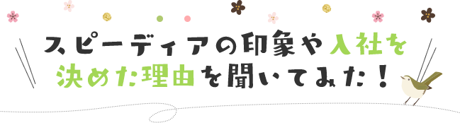 スピーディアの印象や⼊社を決めた理由を聞いてみた！